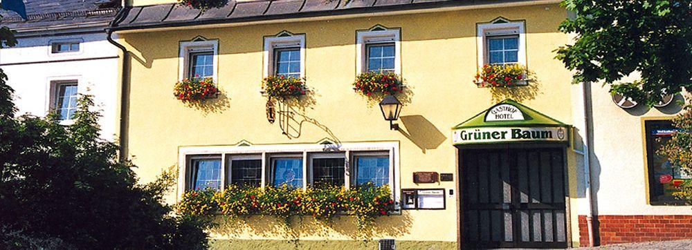 Hotel Gruener Baum Naila Exteriör bild