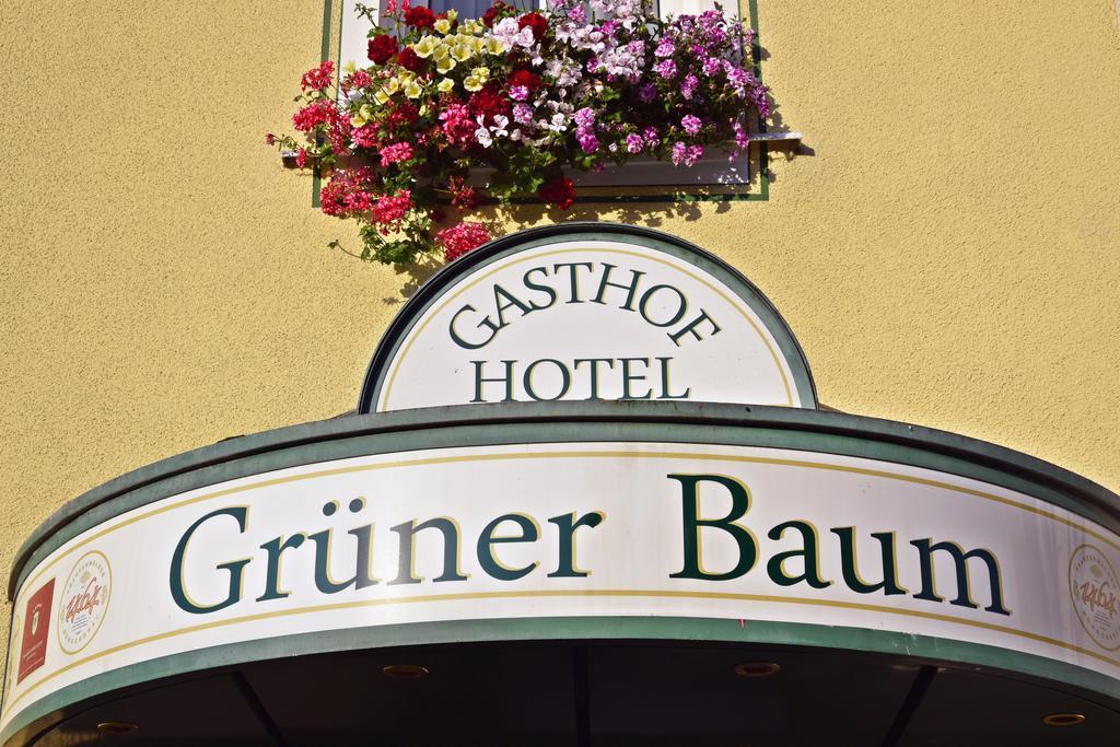Hotel Gruener Baum Naila Exteriör bild